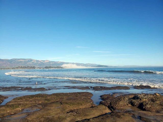 Campus point. Credit: Primoz Ravbar