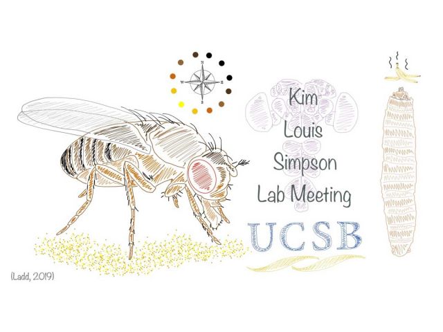 Lab Meeting Mug. Credit: Carla Ladd