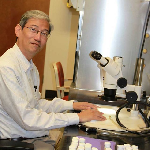 Photo of Shingo Yoshikawa